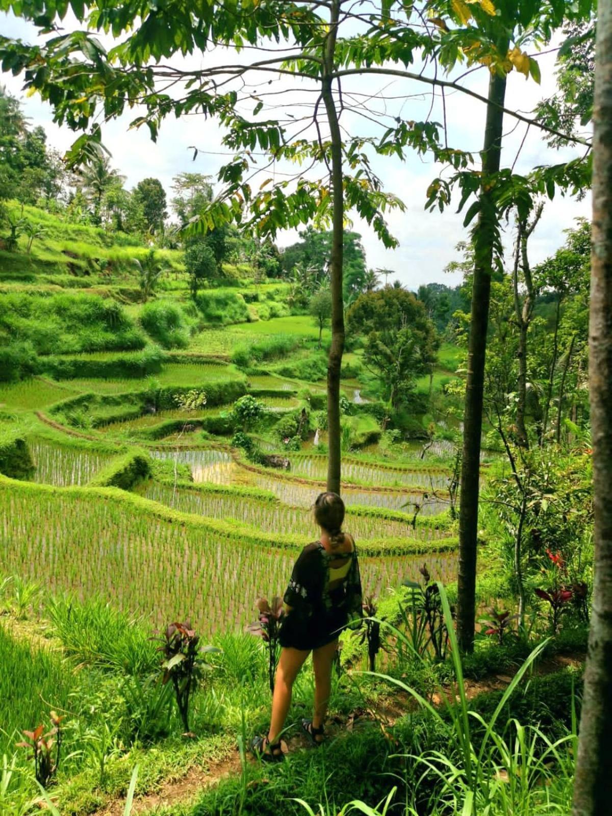 Tetebatu Hostel Bagian luar foto